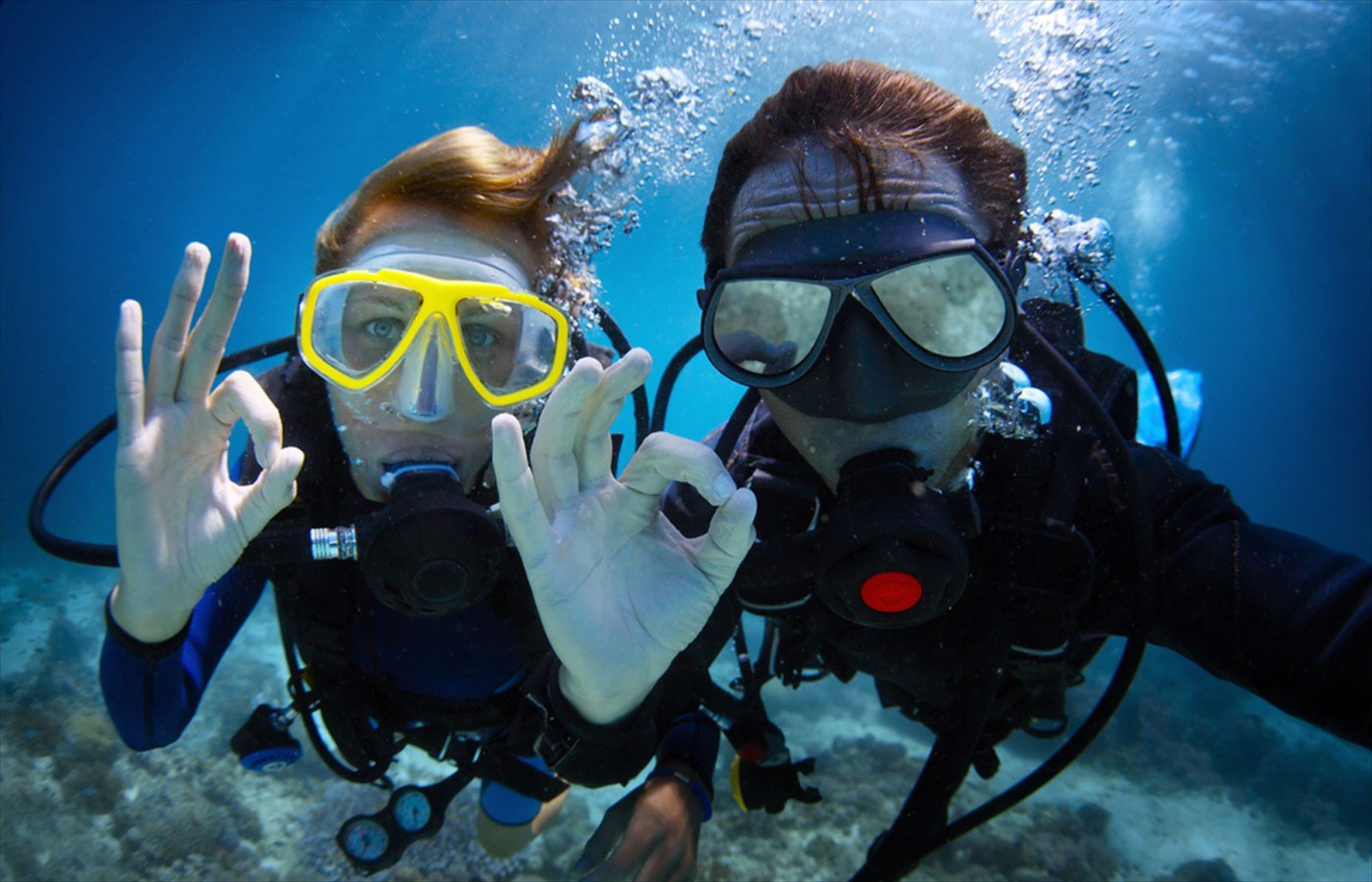 Samana Peninsula Dominican Republic Scuba Diving Sites.